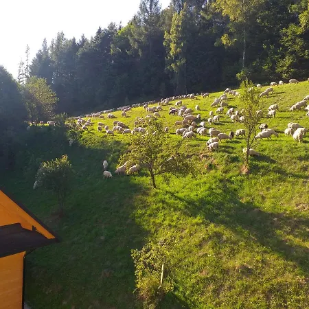 Domek alpejski Pod Groniem Mizerna