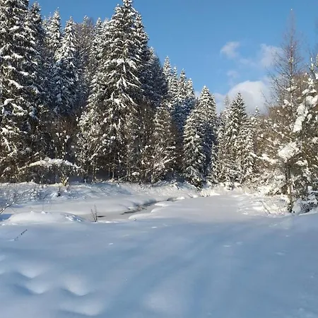 Domek alpejski Pod Groniem *