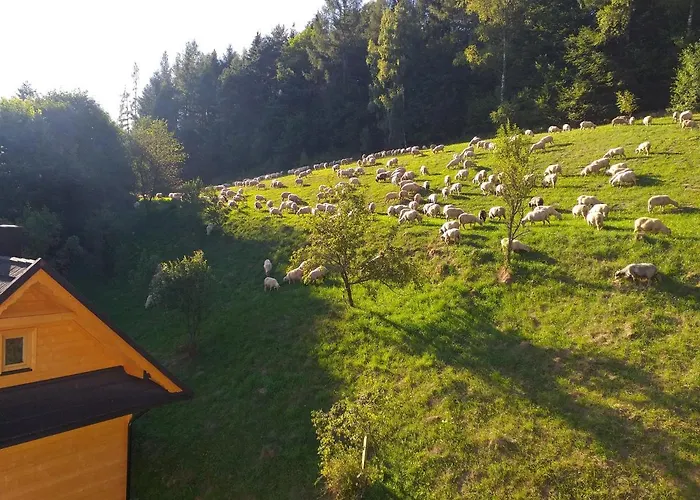 Dağ evi Pod Groniem Mizerna