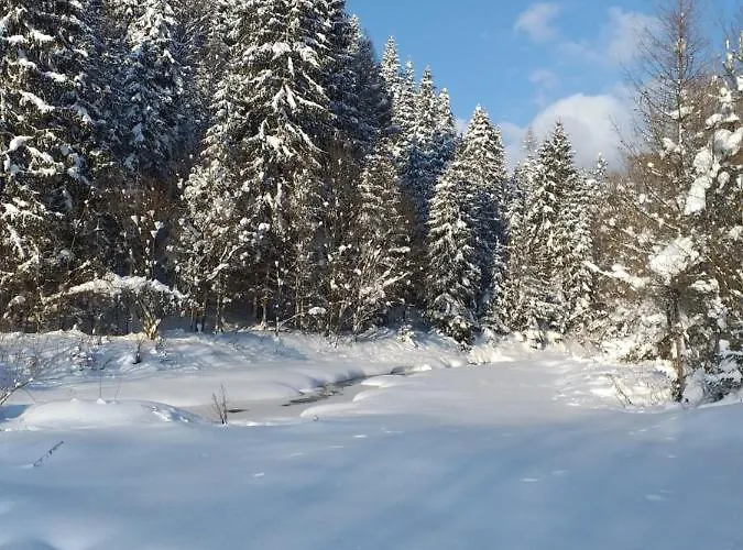 Dağ evi Pod Groniem *